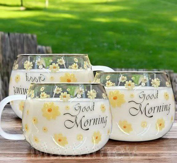 مج جودمورننج فلاور